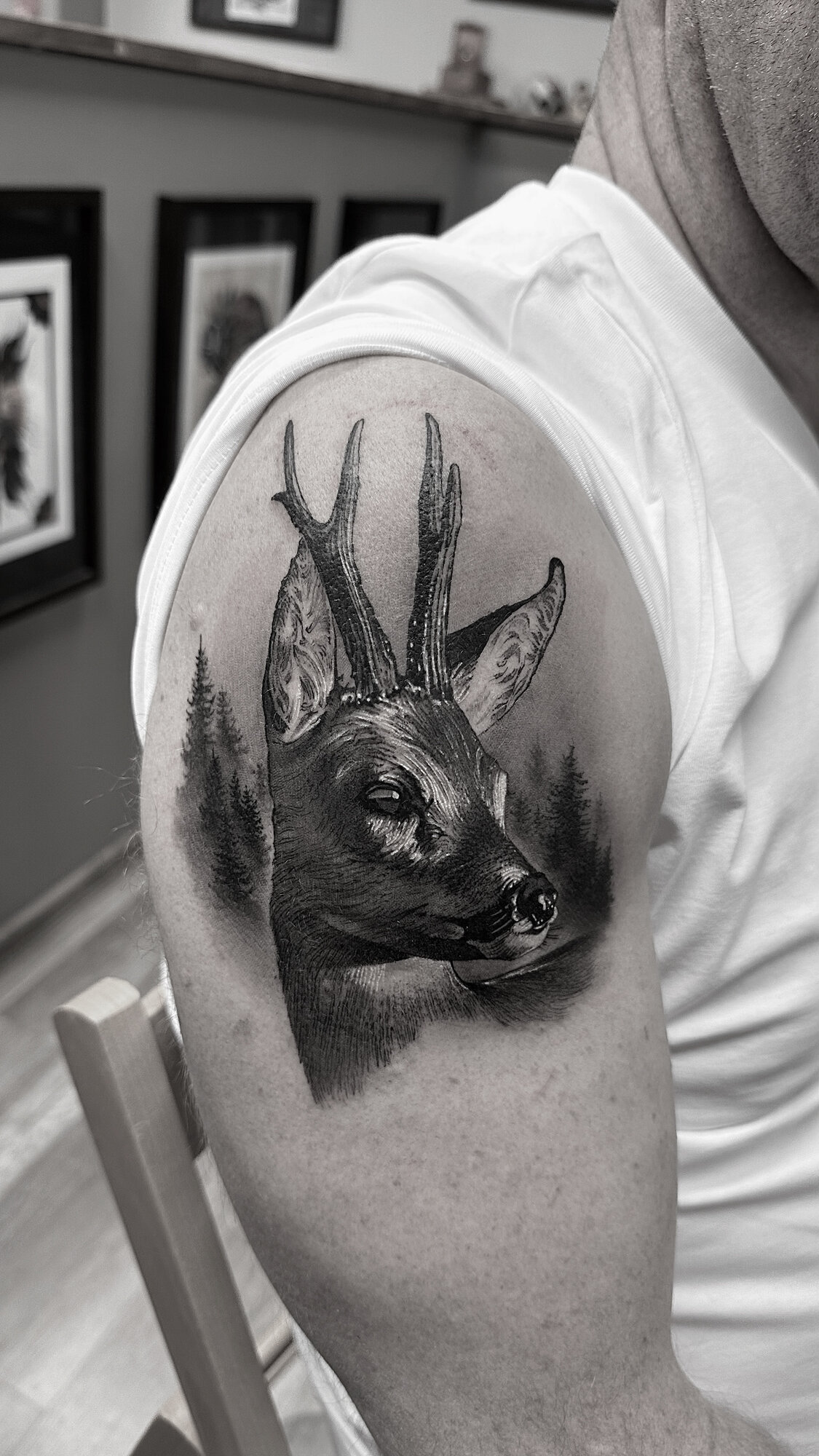 Bilder Old Capital Tattoo & Lifestyle
