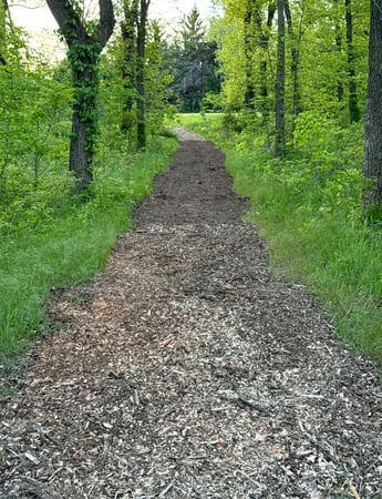 Images Peaches Excavating