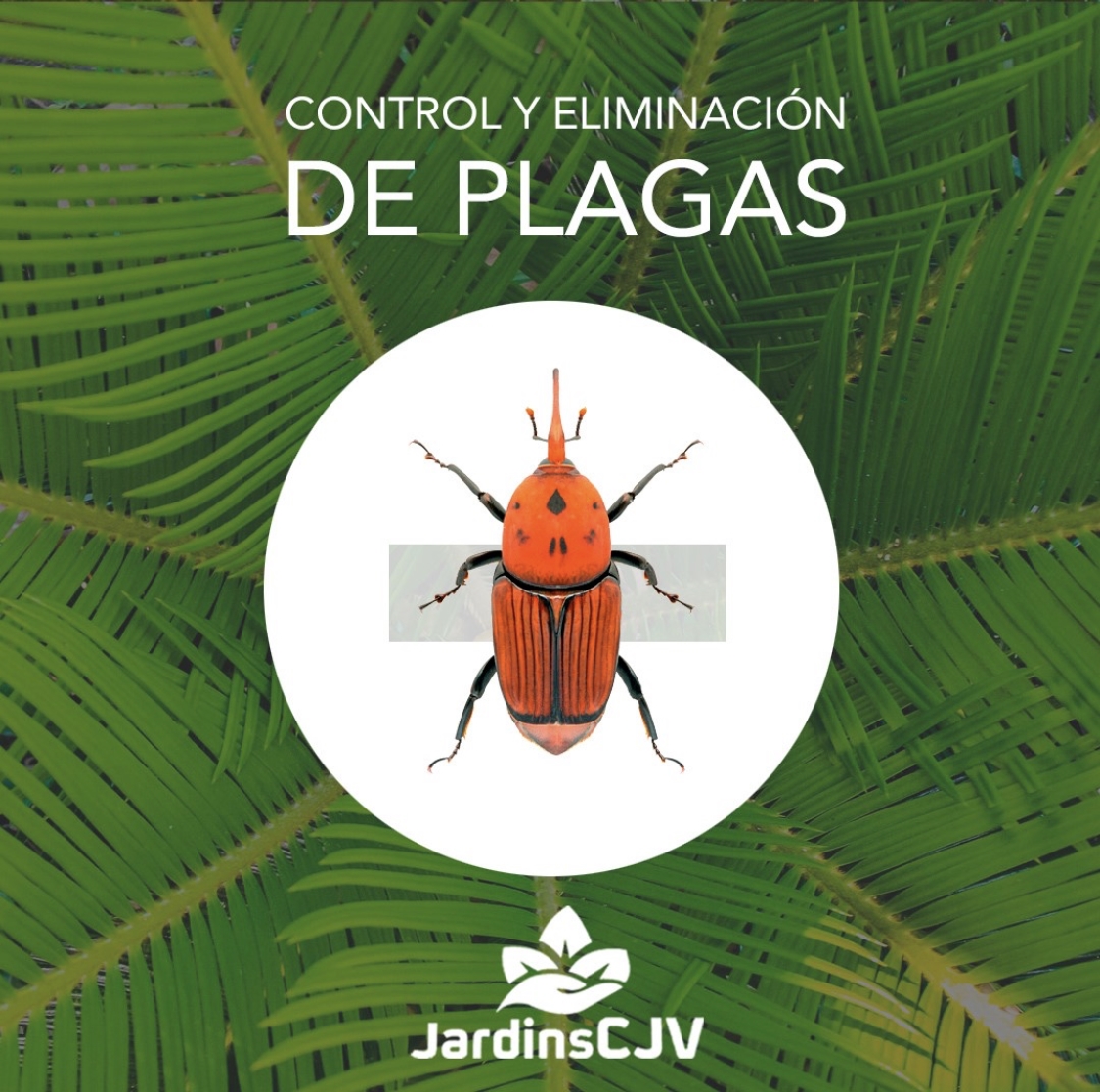 Images Jardins CJV