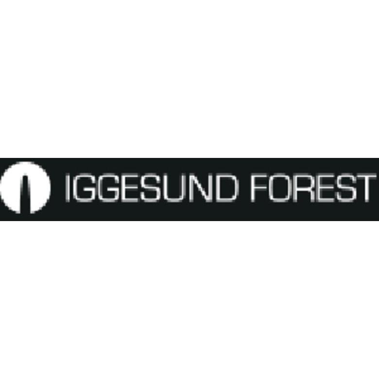 Iggesund Forest AB Logo
