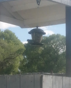 Mogote Meadow Cabins & RV Park Image