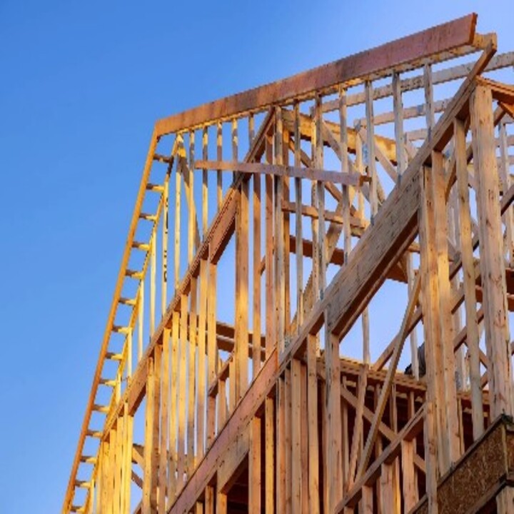Images Pro Tree & Builders