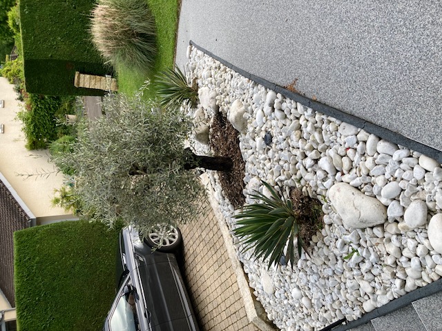 Bilder Fischer Philippe