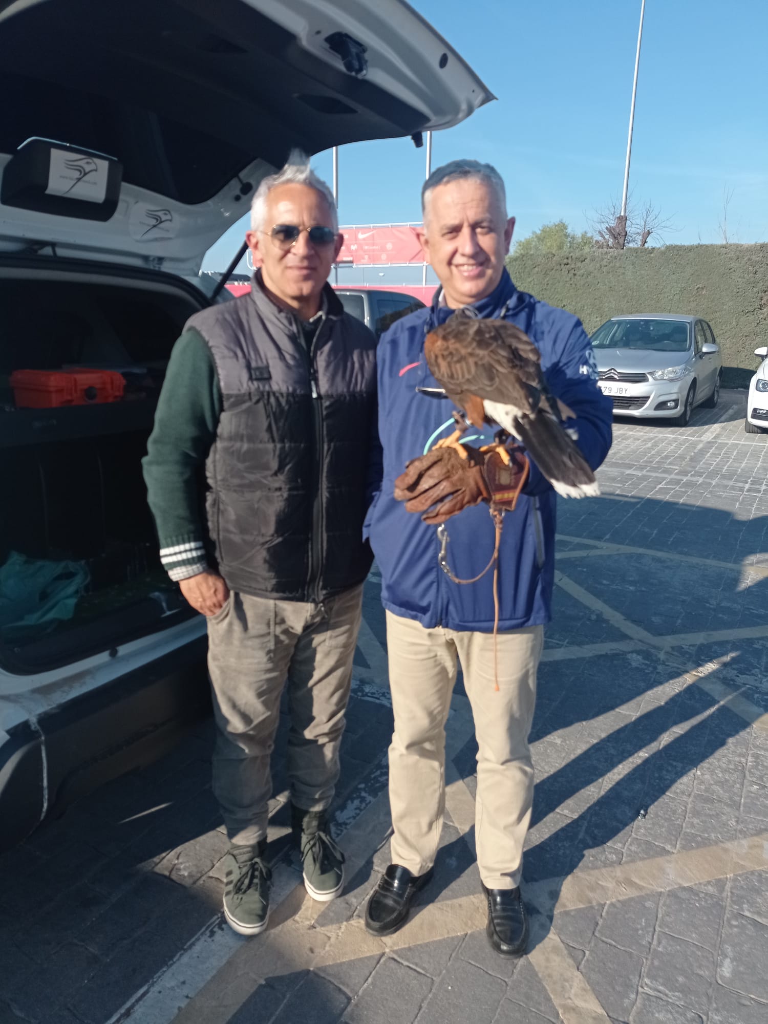 Images Bird Control Falcon S.L.