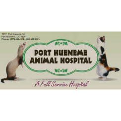 Port Hueneme Animal Hospital - Port Hueneme, CA 93041 - (805)488-4514 | ShowMeLocal.com