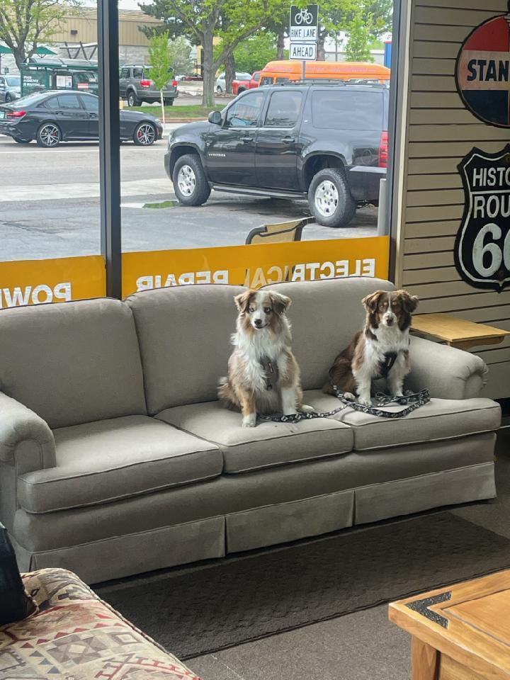 Need a place to wait while we work on your vehicle? Our lobby is pet-friendly for well-mannered gues McCormick Automotive Center Fort Collins (970)472-2030
