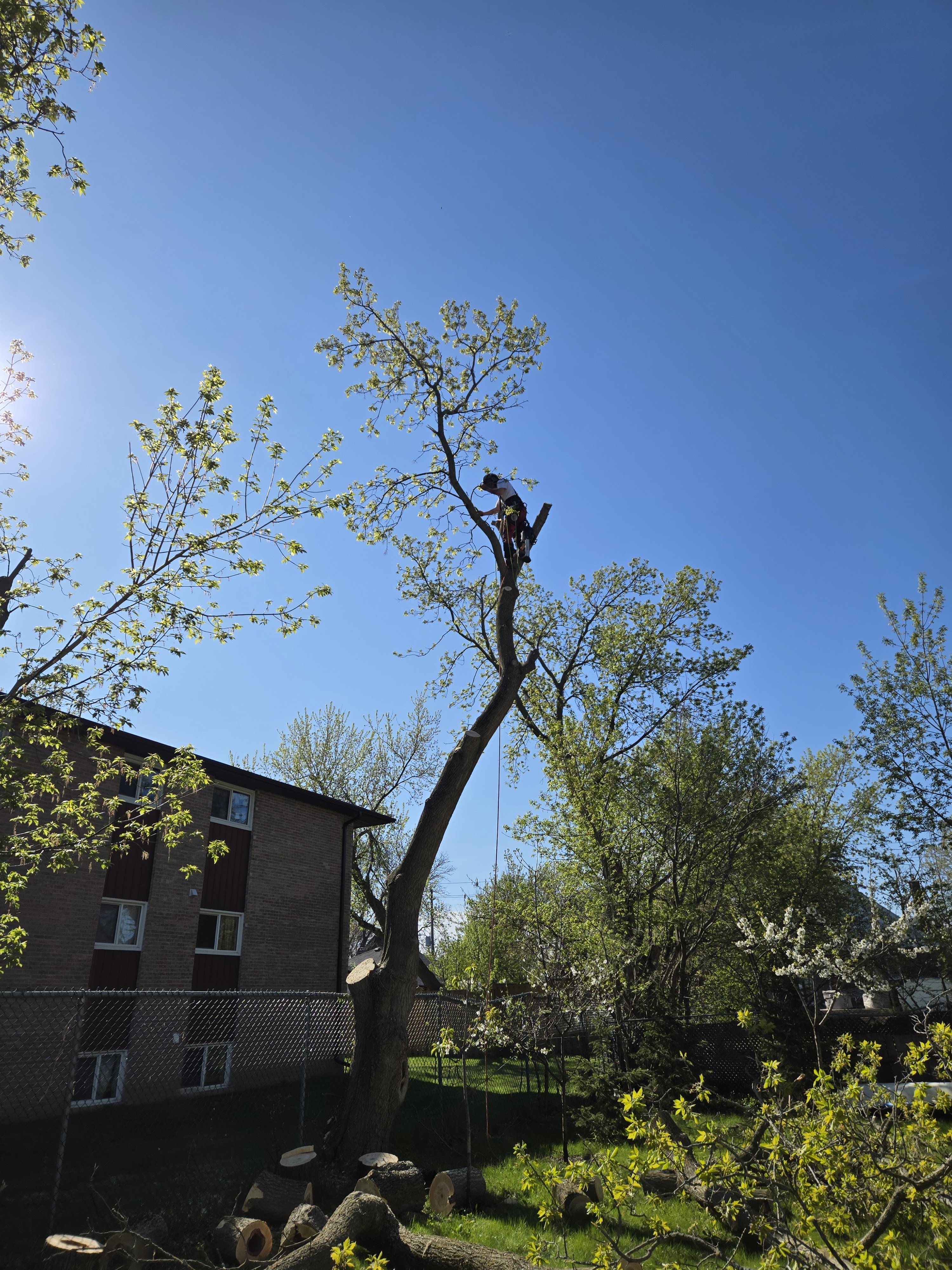 Images All Above Property Maintenance and General Contracting