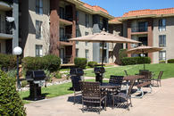 Picnic tables with umbrellas and gas grills in front of lawn and building exterior.