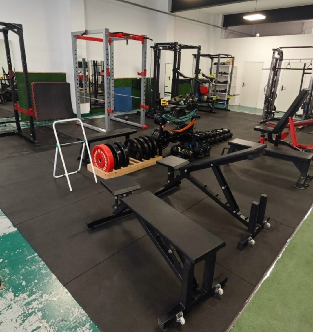 Images Muscle Science