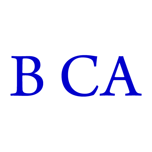 Bernhardt & Cain Appraisal Logo