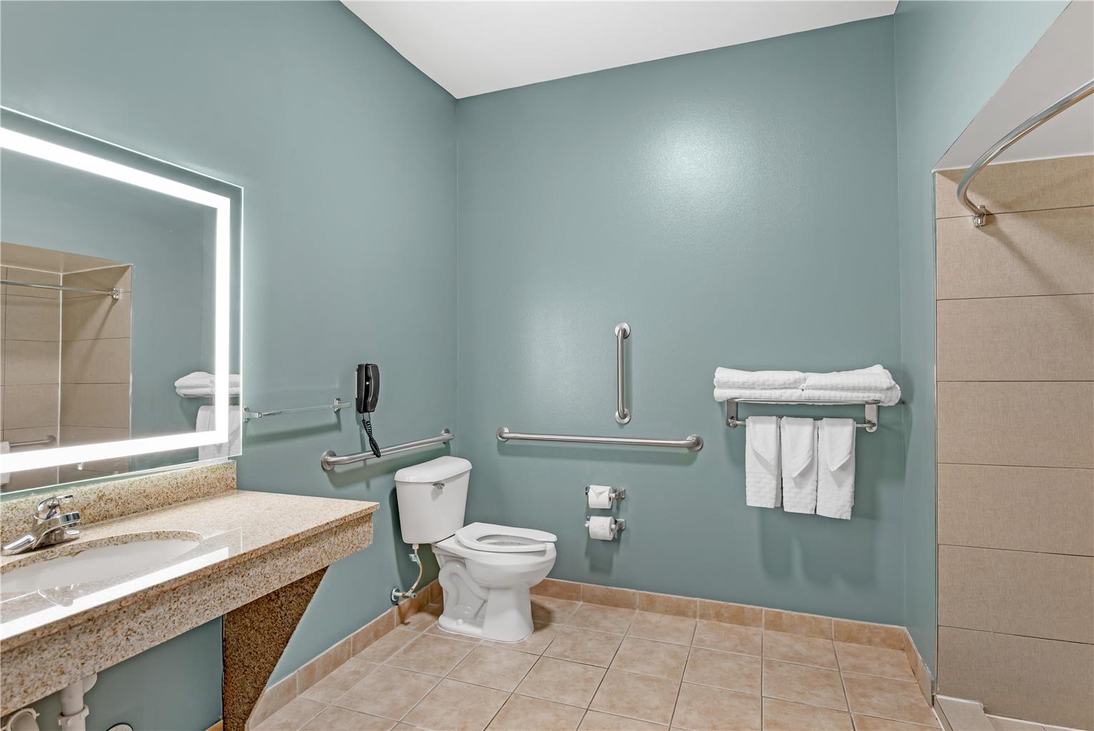 ADA - 1 King Bed w/ Roll In Shower