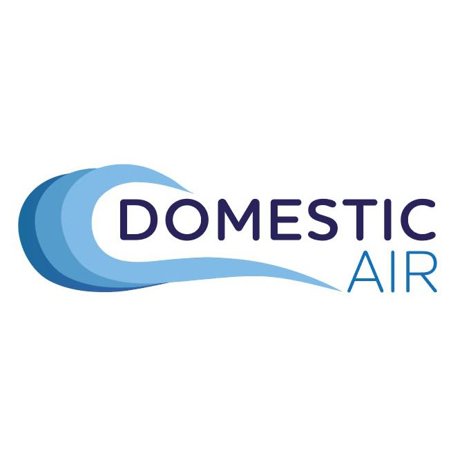 Domestic Air Logo