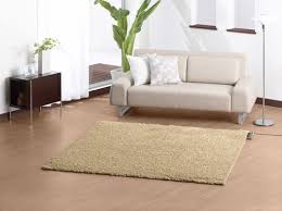 Carpet & Rug Cleaners