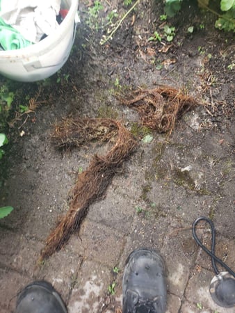 Images Knight Rooter Sewer & Drain Cleaning Services