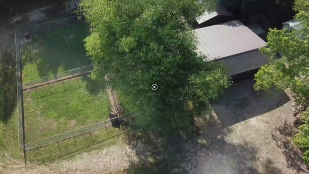 Images Custom Canine Unlimited