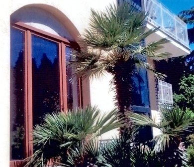 Images Villa delle Palme