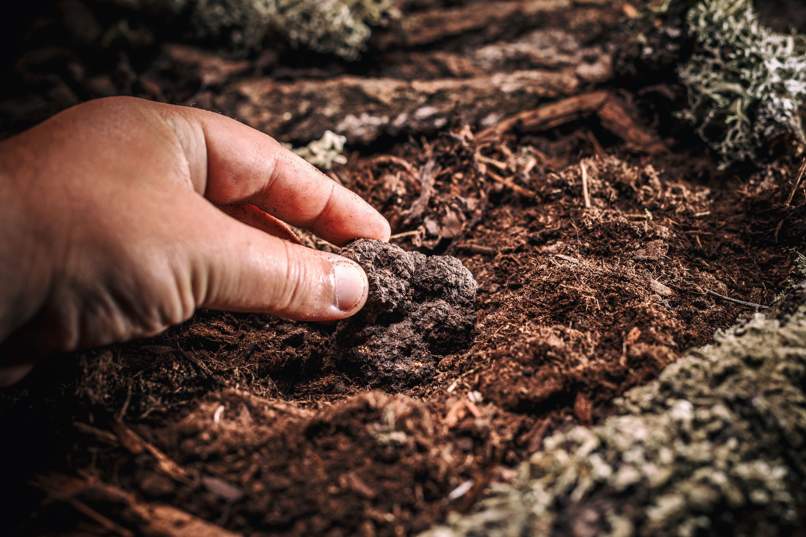 Le Trüf Innovation AG, Hauptstrasse 16 in Kreuzlingen