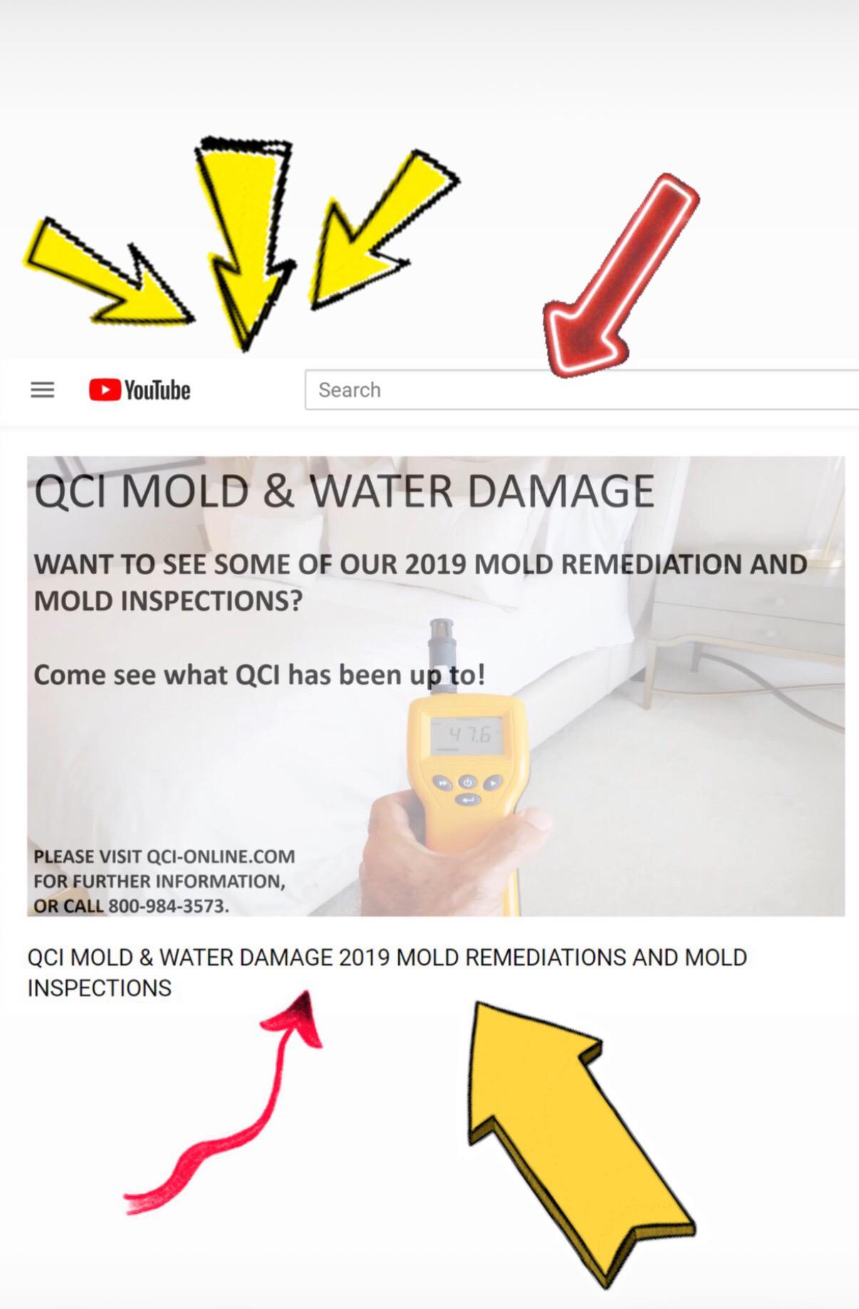 QCI Mold and Water Damage Naples (239)777-2875