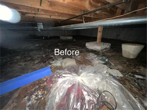 Images True North Restoration of Colorado Springs