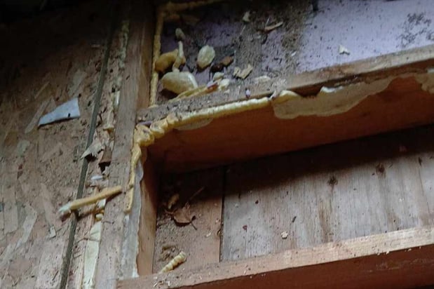 Images First Response Restoration - MN & WI Water Damage Repair