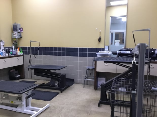 Images Petco Grooming