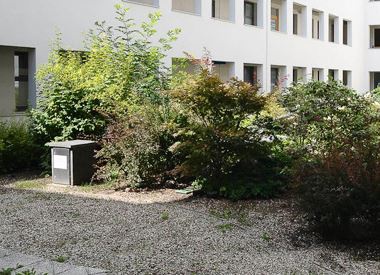 Dr. med. Hans-Joachim Mittenzwey, Hellersdorfer Str. 237 in Berlin