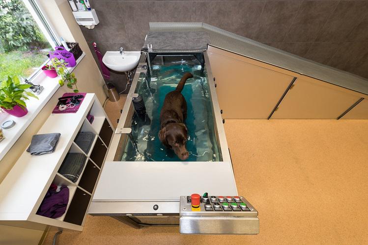 Zentrum für Tierphysiotherapie & Rehabilitation Mag. vet. med Sandra Stastny, Andreas Leykamplatz 1/7 in Gratkorn