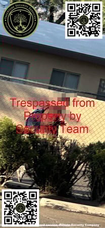 Images TreeStone Security Services