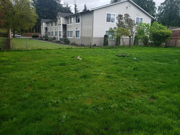 Images Skagit Branches LLC