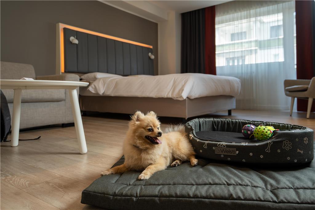 Images Park Inn by Radisson Bucharest Hotel & Residence