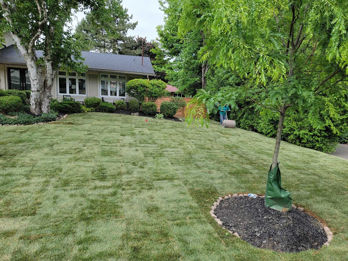 Images Green Ontario landscaping & snow removal