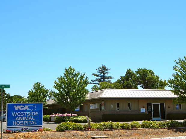 Images VCA Westside Animal Hospital