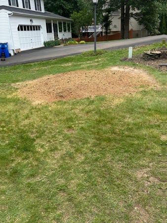 Images Z&M Tree Service TN