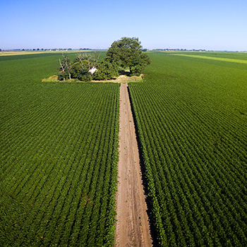 Hiatt Farmland Services