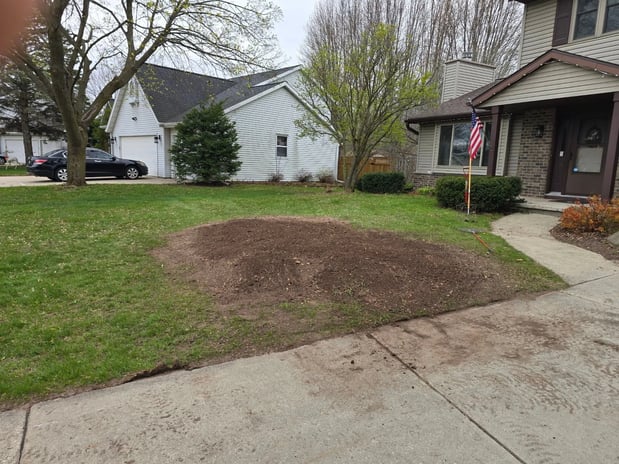 Images Packerland Stump Removal LLC