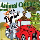 Animal Crackers Pesky Wildlife Removal Virginia Beach (757)374-3678