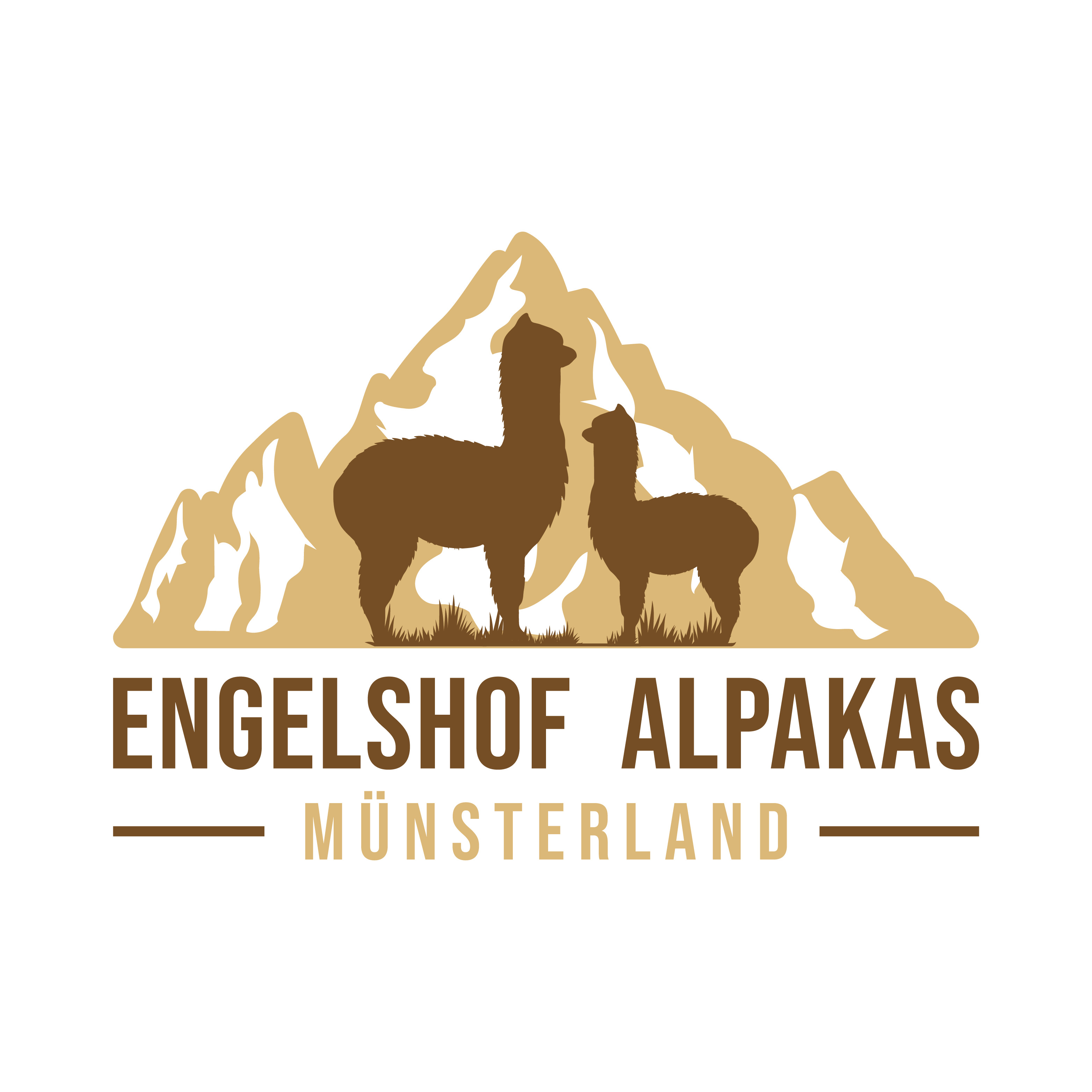 Engelshof Alpakas Münsterland in Wettringen Kreis Steinfurt - Logo
