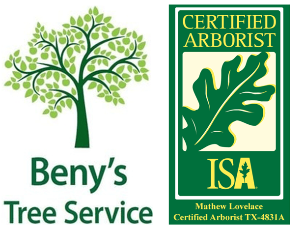 Images Beny's Tree Service