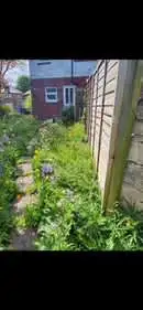 Images PG Garden Maintenance