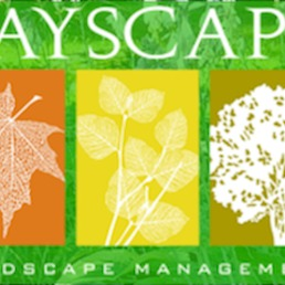 Bayscape Landscape Management Logo