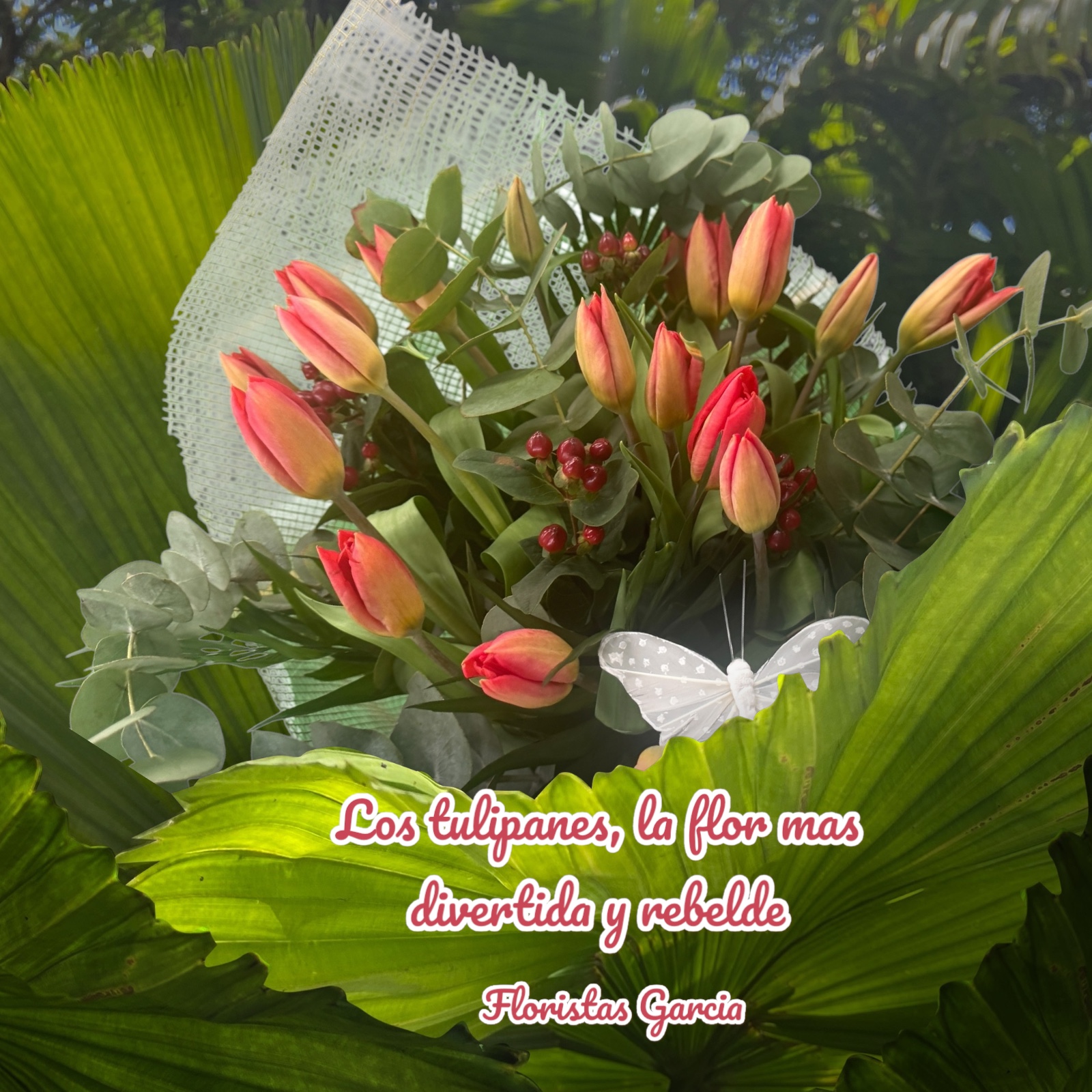 Images Floristas García Taller Floral