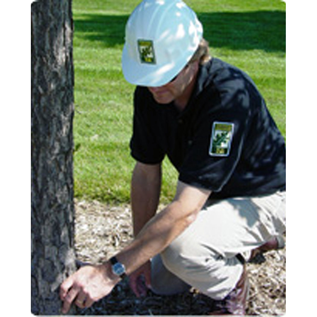Houston Arborist LLC