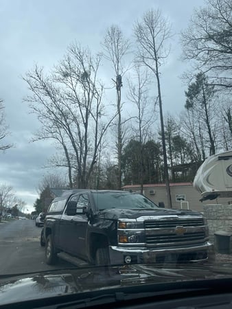 Images Victory One Tree Service & Stump Grinding