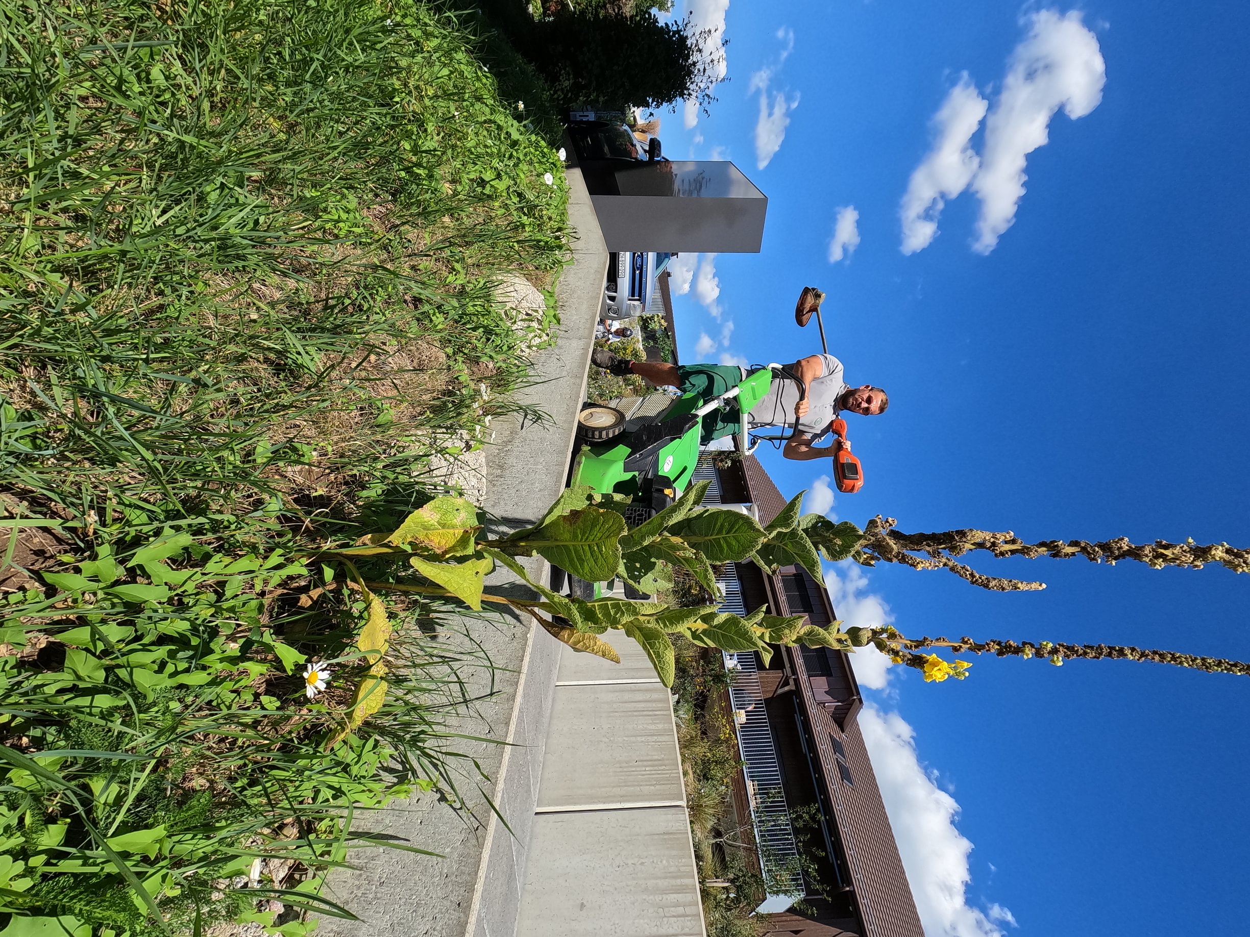 Walder's Hauswartung & Gartenunterhalt AG, Berglistrasse 7 in Wetzikon ZH