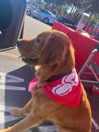 Images Jenny Renner-Alatorre - State Farm Insurance Agent