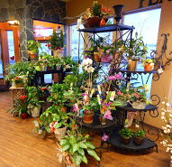 Images Bagoy's Florist & Home