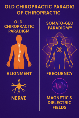 Images Naumov Health: Chiropractic & Life Enhancement Center