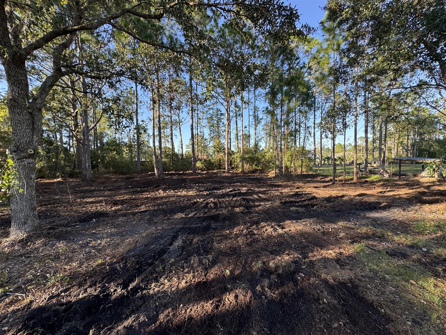 At Wise Choice GFC, we specialize in forestry mulching services that help manage overgrown vegetation and maintain healthy land. Our efficient solutions support landowners in clearing and maintaining properties while promoting environmental sustainability.