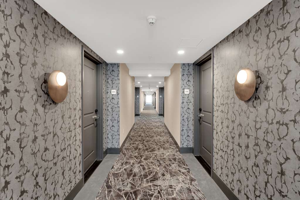 Images Hilton Garden Inn Toronto/Brampton