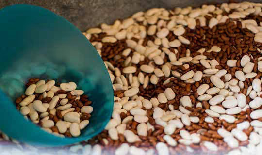 Bild 5 von Krabbelstube Vogelnest